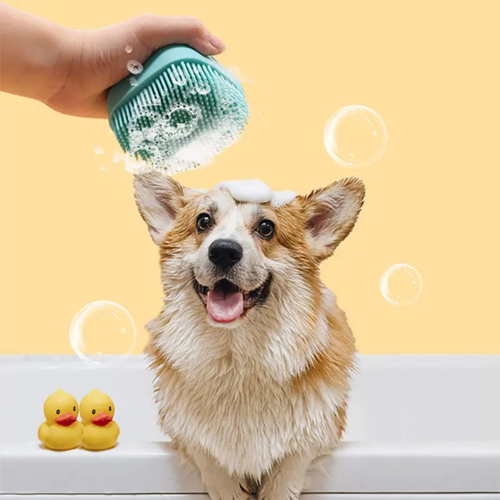 Dog Bathing Brush Pet Massage Soft Silicone Brush Shampoo Dispenser