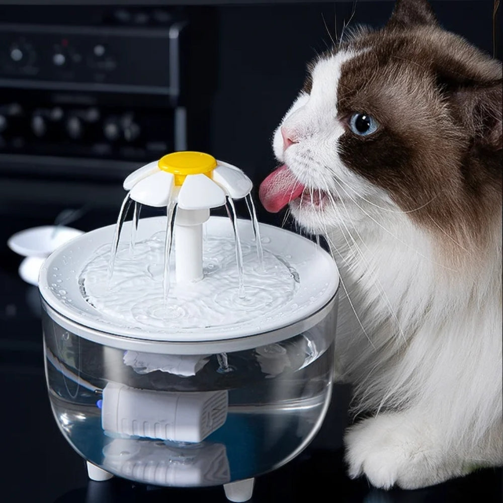 Automatic Pet Water Dispenser – Cat Water Fountain & Drink Bowl