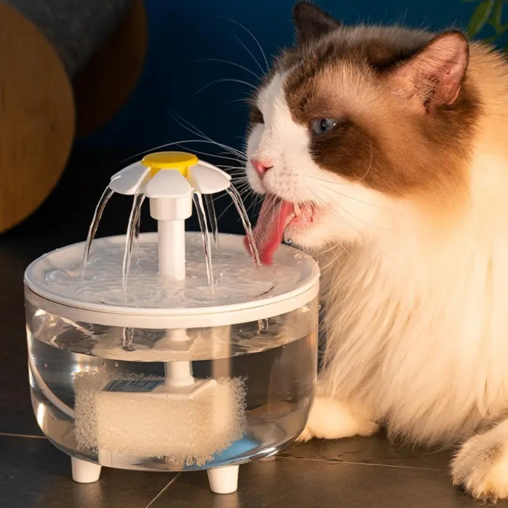 Automatic Pet Water Dispenser – Cat Water Fountain & Drink Bowl