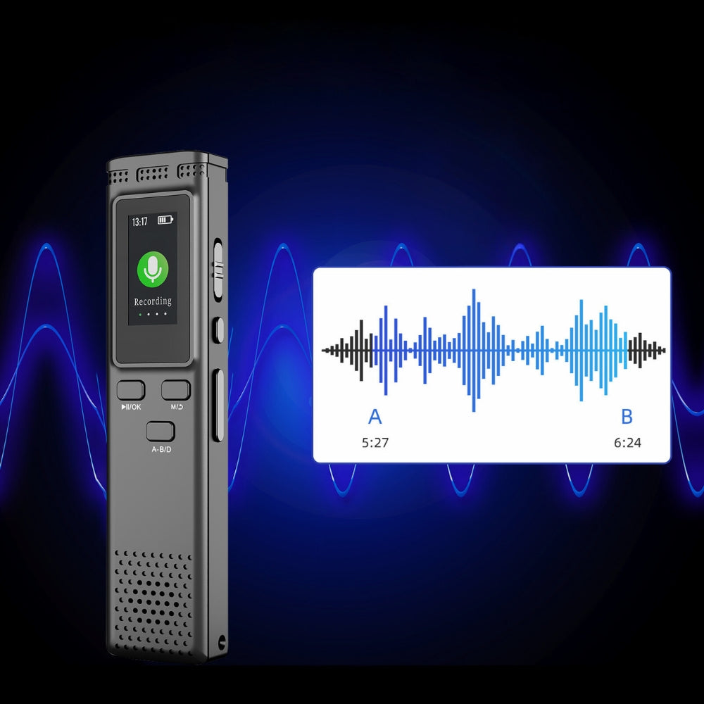 Digital Voice Recorder Noise Reduction with Playback