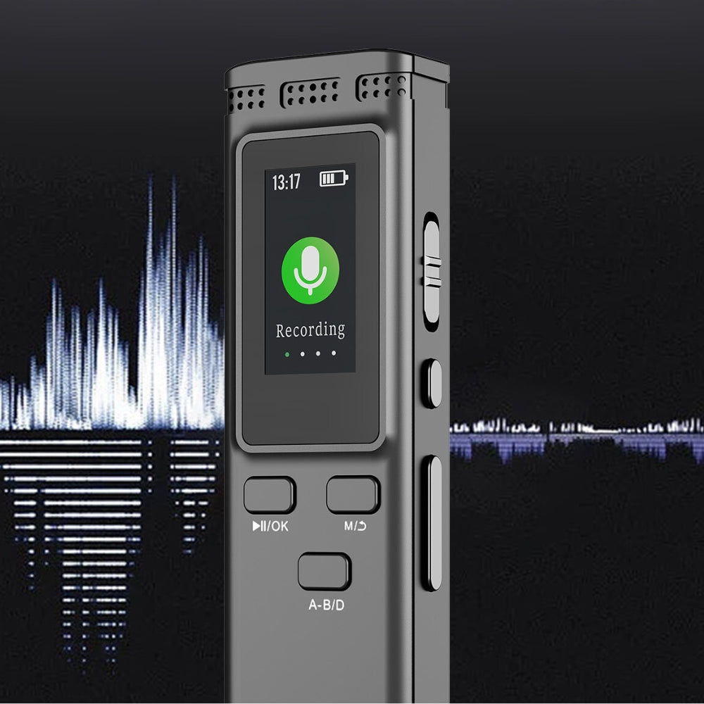 Digital Voice Recorder Noise Reduction with Playback