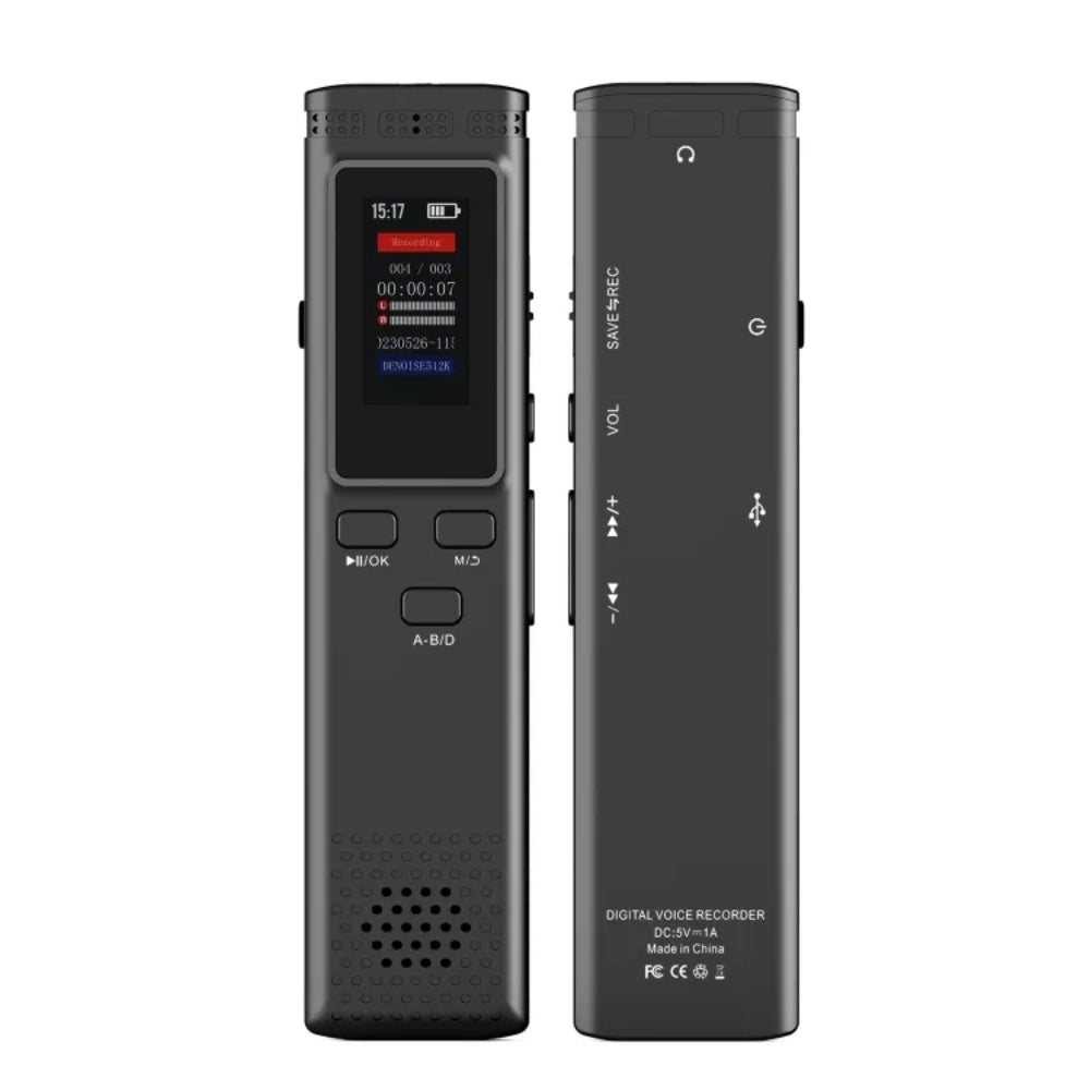 Digital Voice Recorder Noise Reduction with Playback