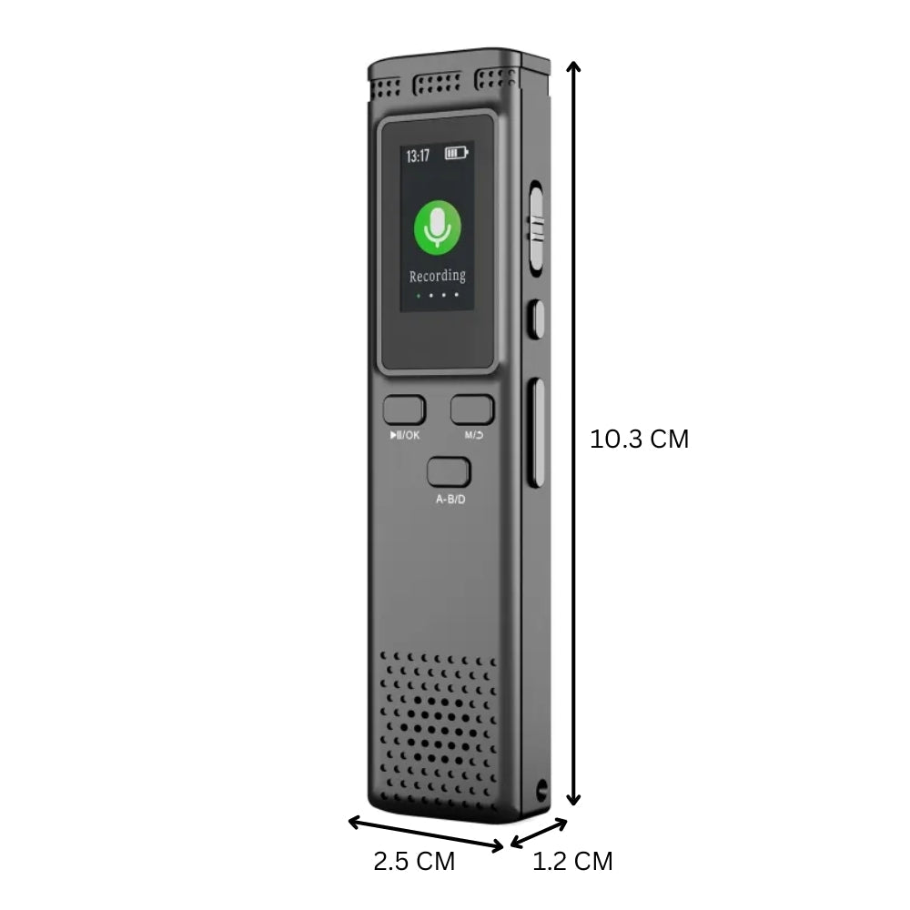 Digital Voice Recorder Noise Reduction with Playback